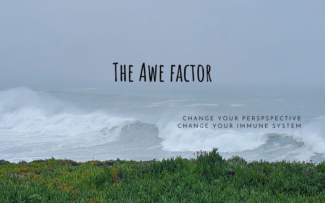 The Awe Factor