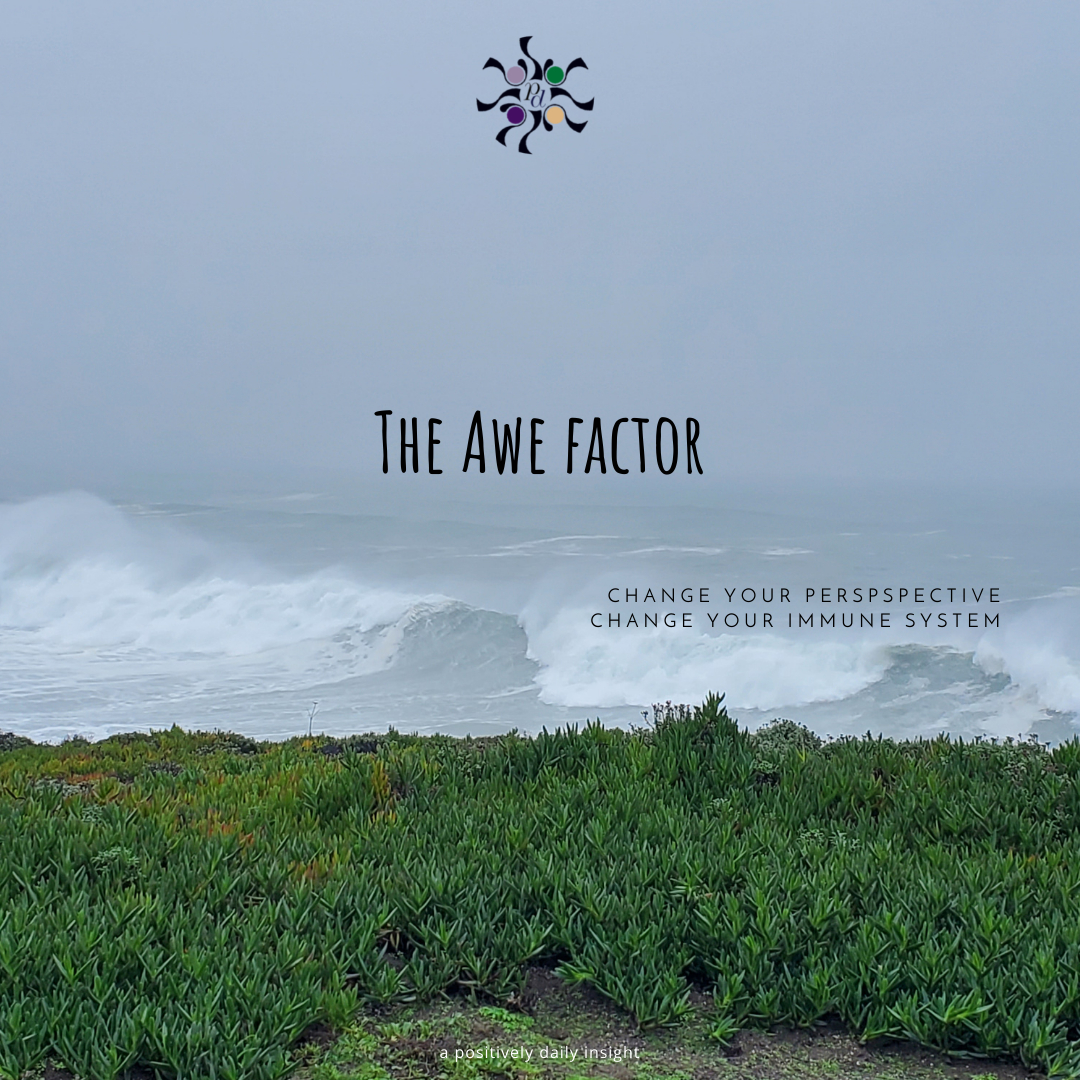 Blog or Instagram Post 1080×1080 px The Awe Factor