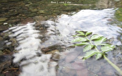 Finding Faces Phenomenon