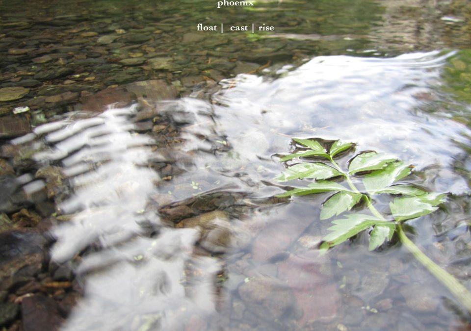 Finding Faces Phenomenon