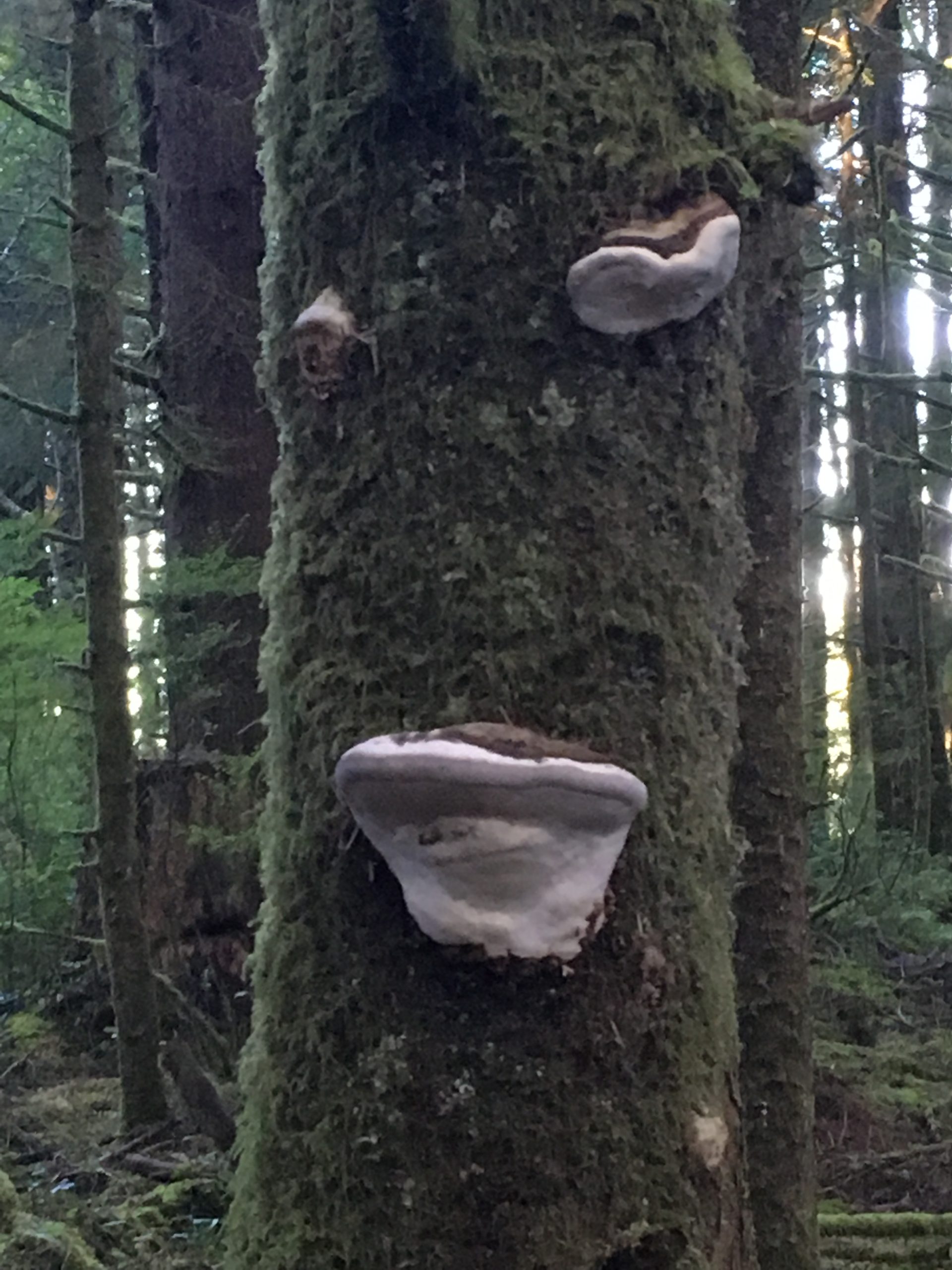 2019-10-01_08-41-40_205