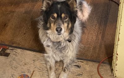 Targets and Time Tracking Tips