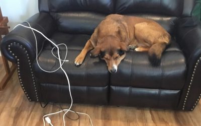 Ditch the Digital Clutter