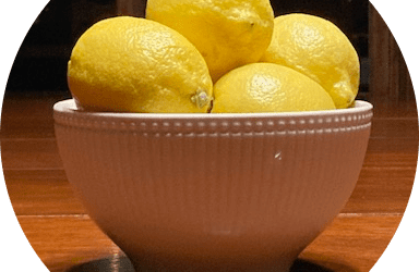 Leave the Squirrels Be