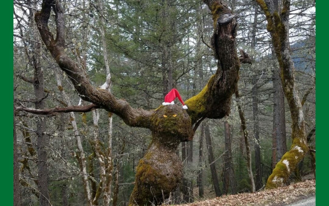 Psychological Visualization Christmas Style