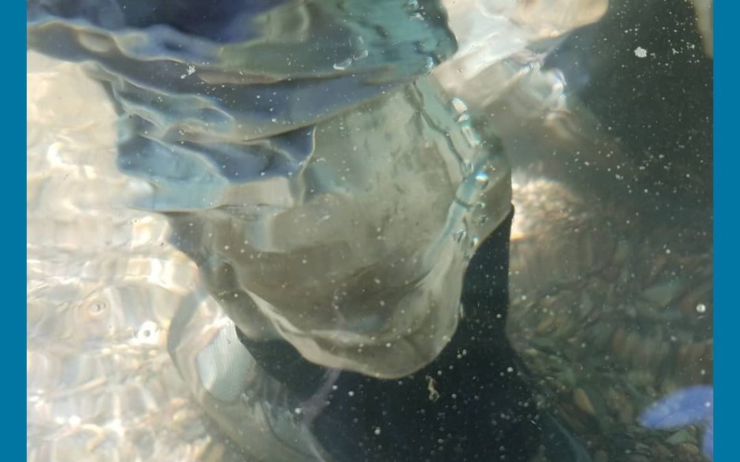 Visualization Below The Surface