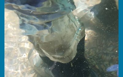 Visualization Below The Surface