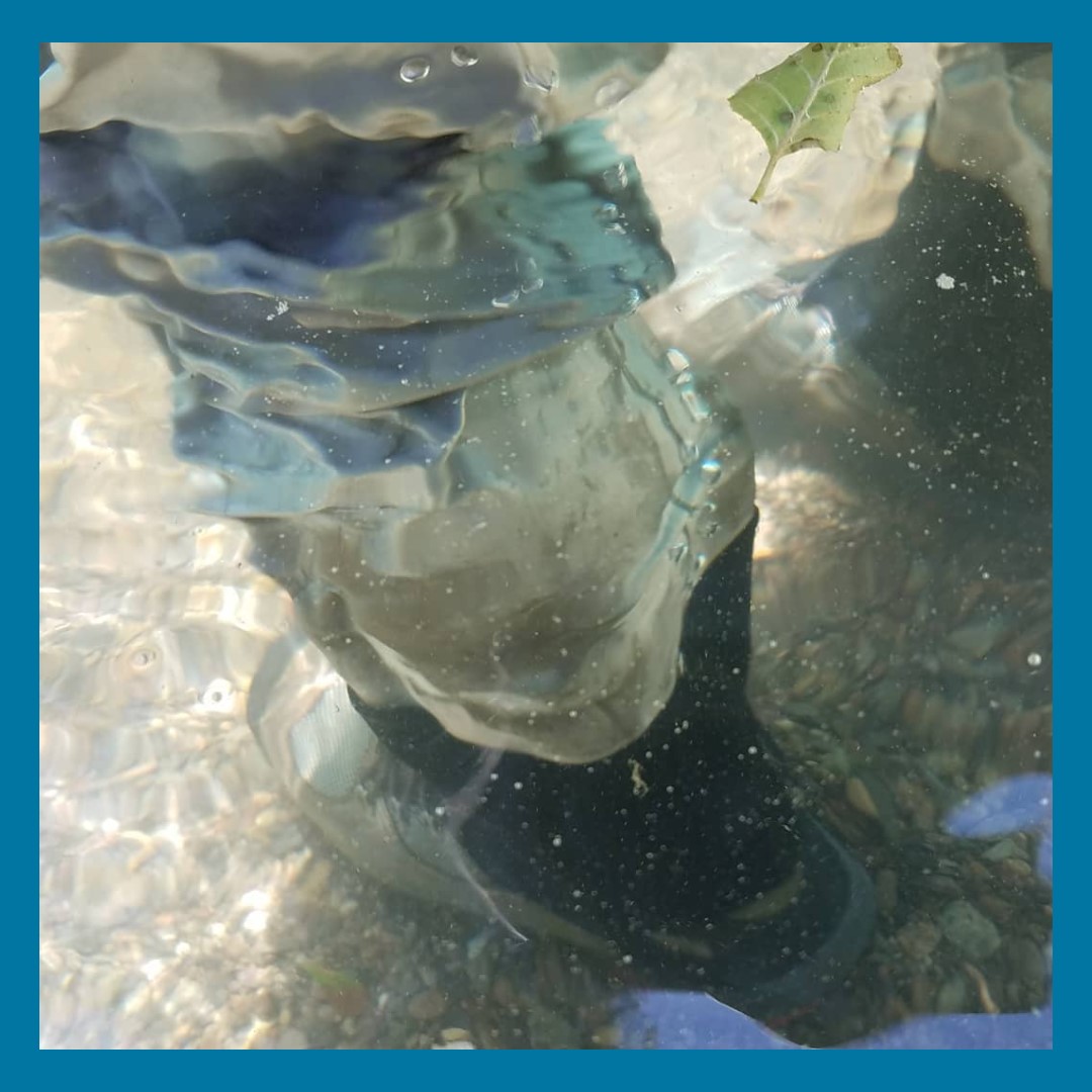 visualizations in the flow