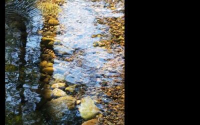 Wander down the creativity path