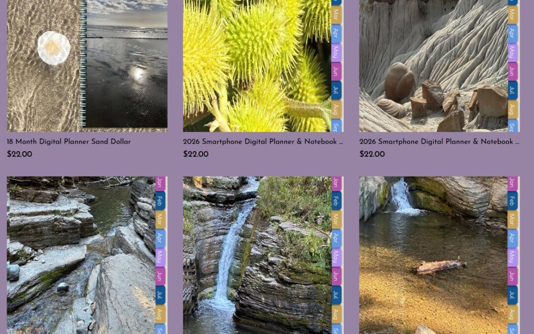 PD Launch Slice O Time Store!