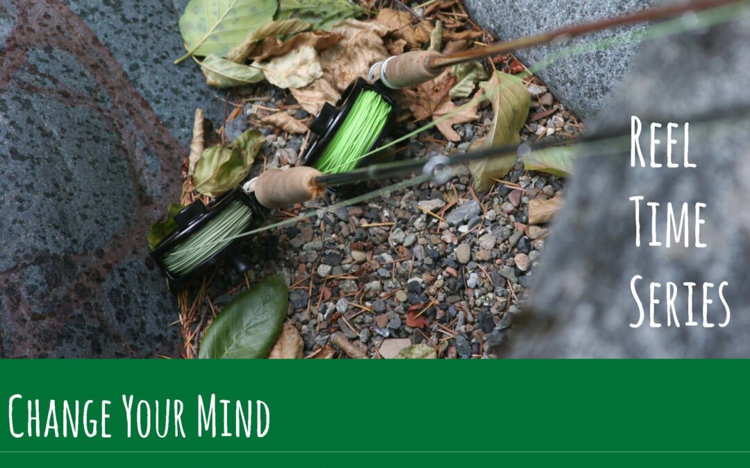 Reel Time Series: Change Your Mind, Change Your Time