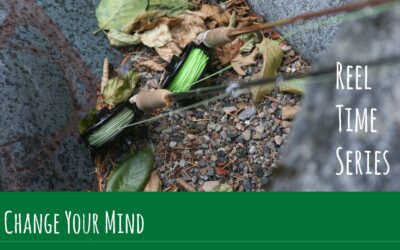 Reel Time Series: Change Your Mind, Change Your Time