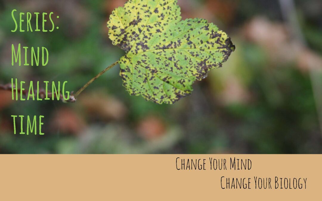 Reel Time Series: Mind Healing Time