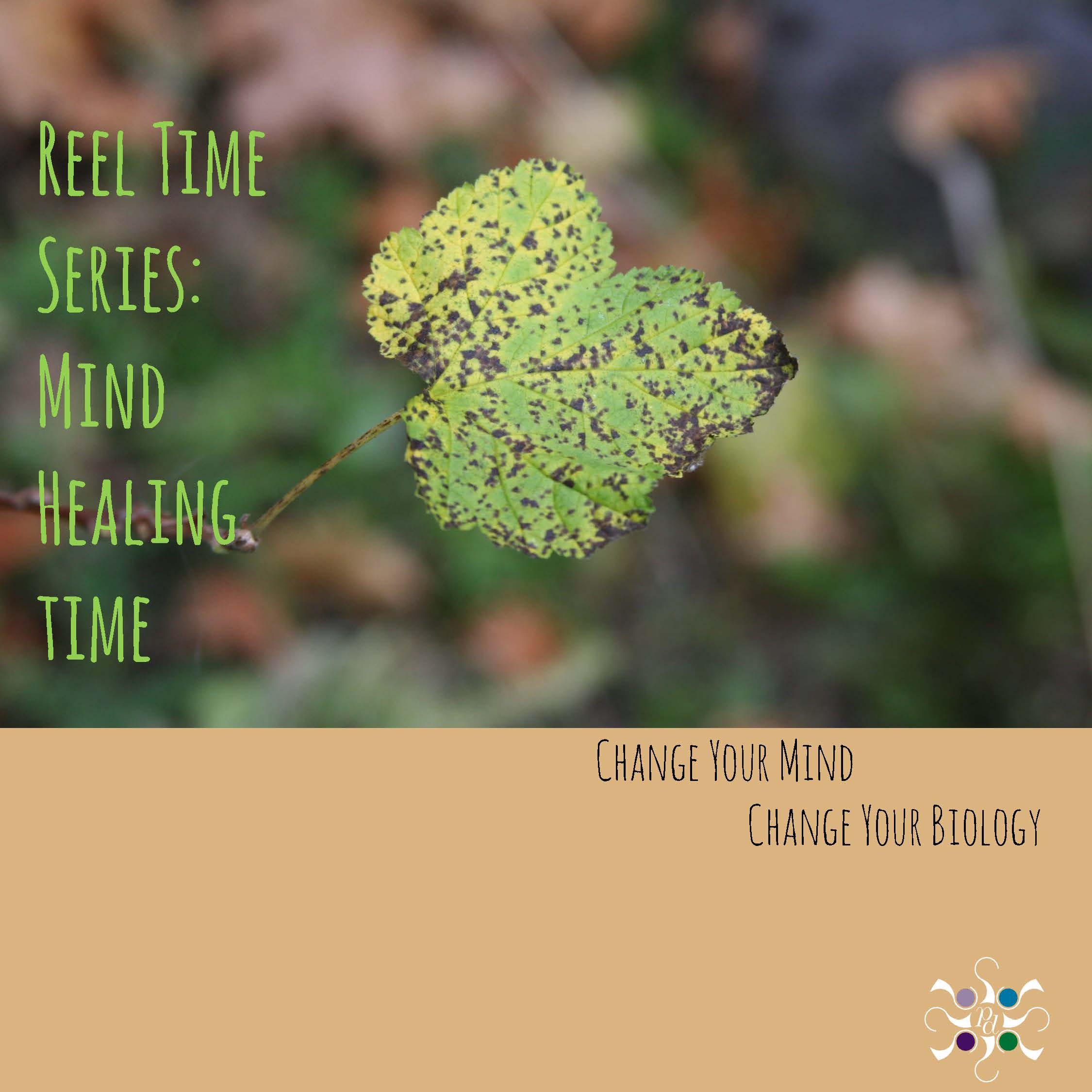 PD Reel Time Series_Page_5