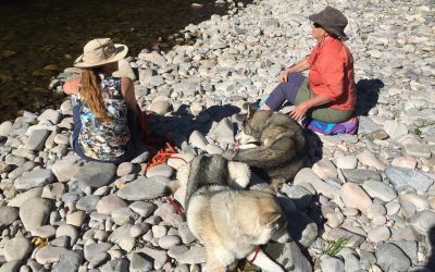 Welcome! Finally Live 2025